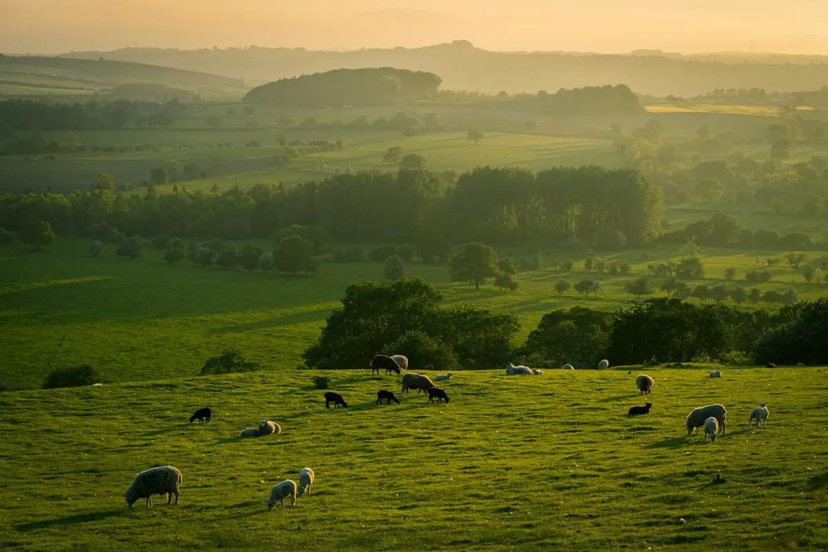 Faces of Vermont Agriculture